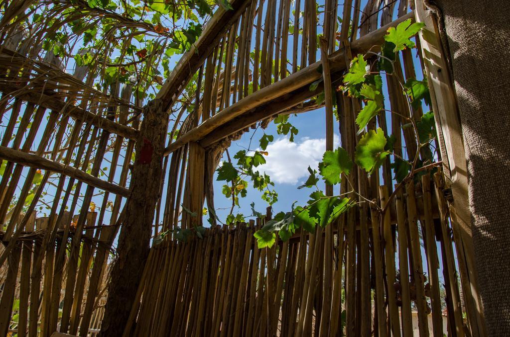 Kfar Hanokdim - Glamping & Camping Arad Ngoại thất bức ảnh